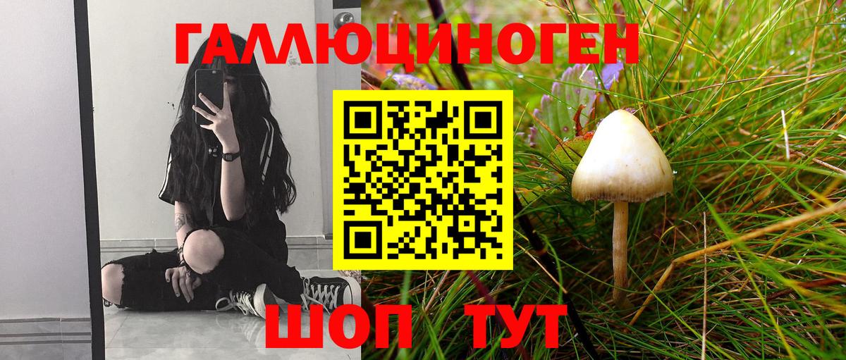 Псилоцибиновые грибы GOLDEN TEACHER  Галлюциногенные грибы Psilocybe  Вход с VPN  Железногорск 
