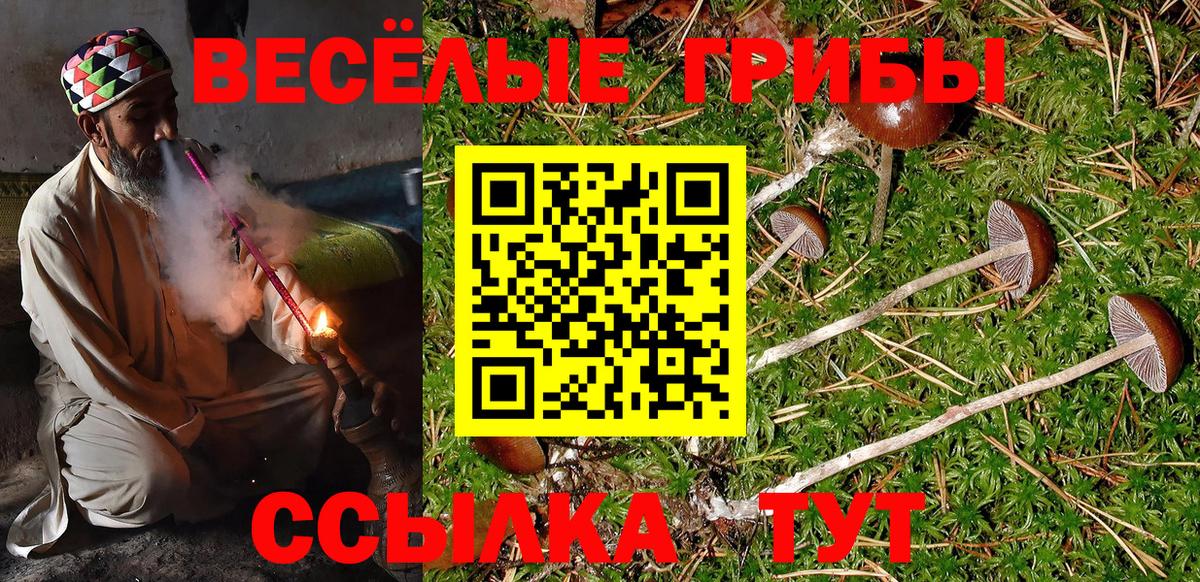 Псилоцибиновые грибы Cubensis Железногорск